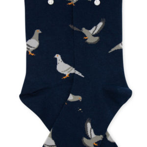 Socks Alfredo Gonzales