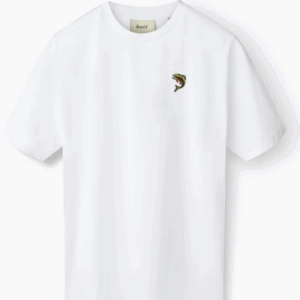 Capture d’écran à