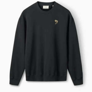 Capture d’écran à