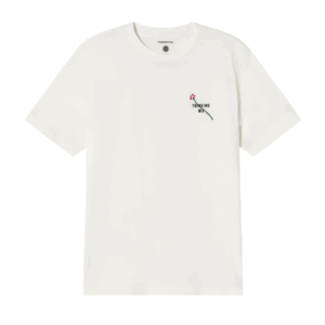 Capture d’écran à