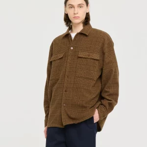 imperata brown x@x jpg