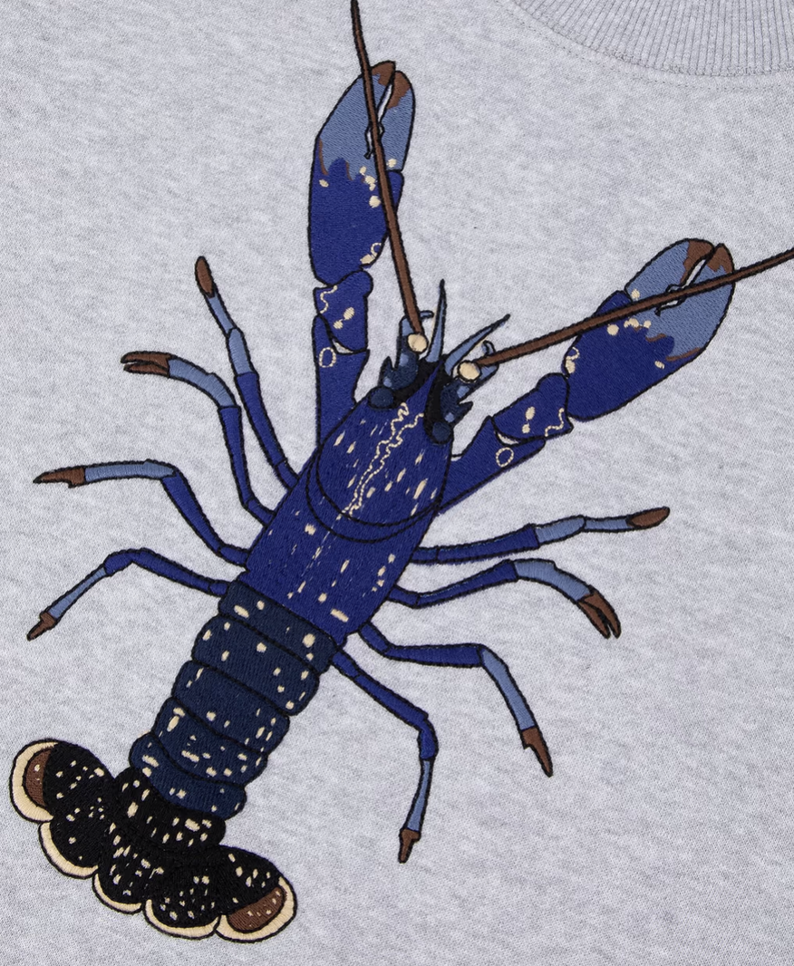 Capture d’écran à