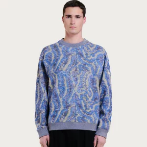 PACCORALBLUEMULTI x jpg